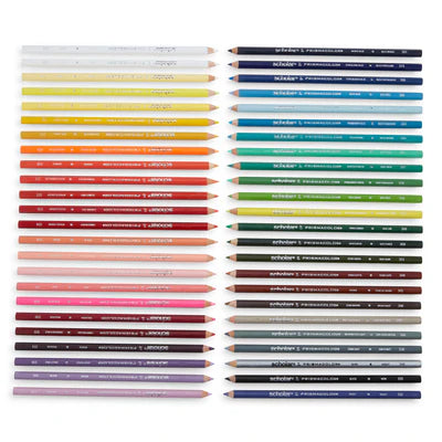 SCHOLAR PENCILS COLOR 48 CT