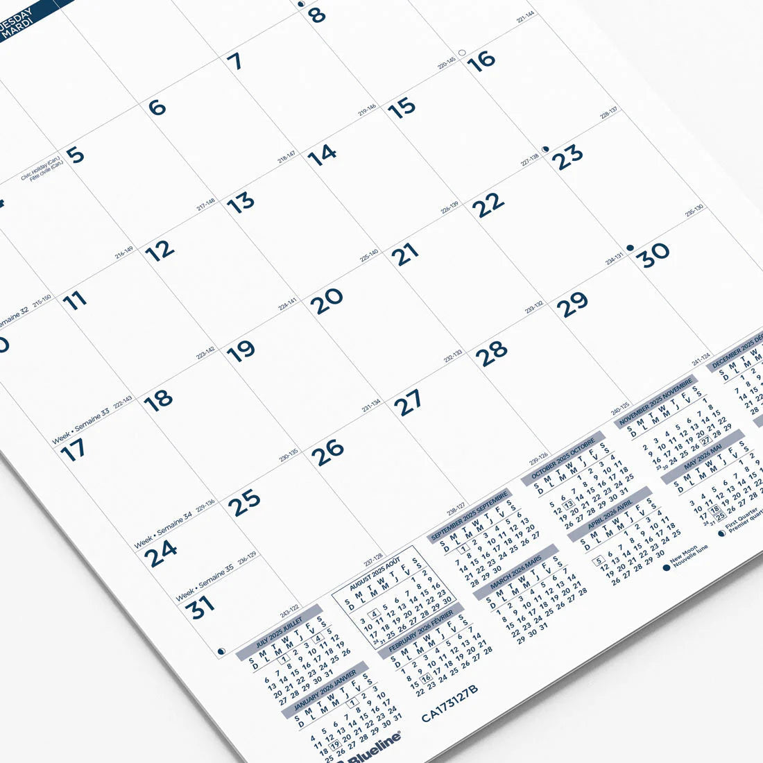 Academic Wall Calendar 12 x 17