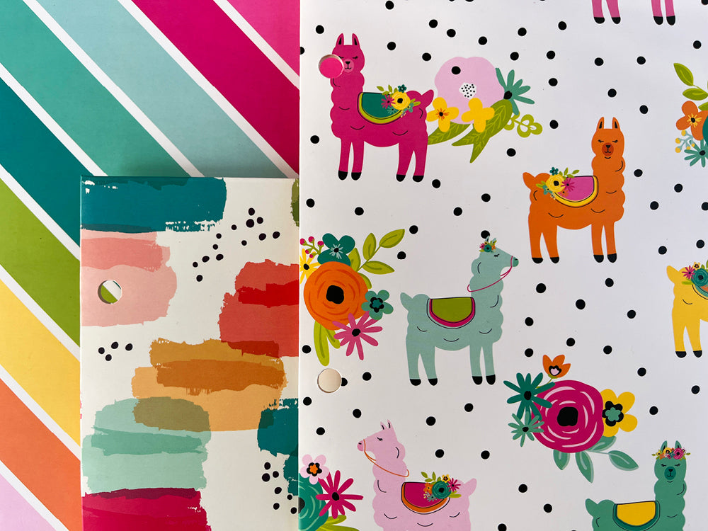 Pukka Pads Letter Portfolio