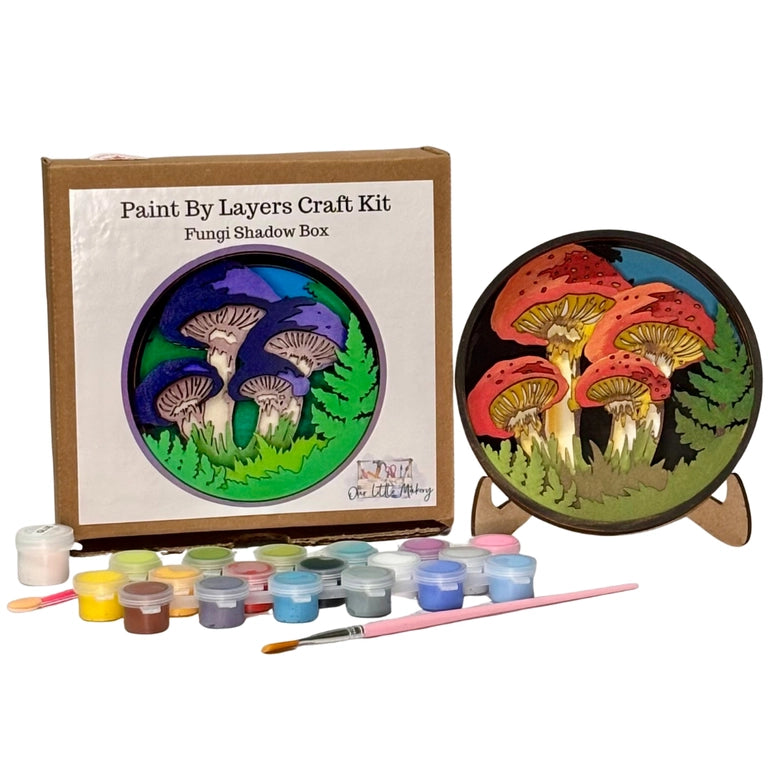 Shadow Box Paint Kits