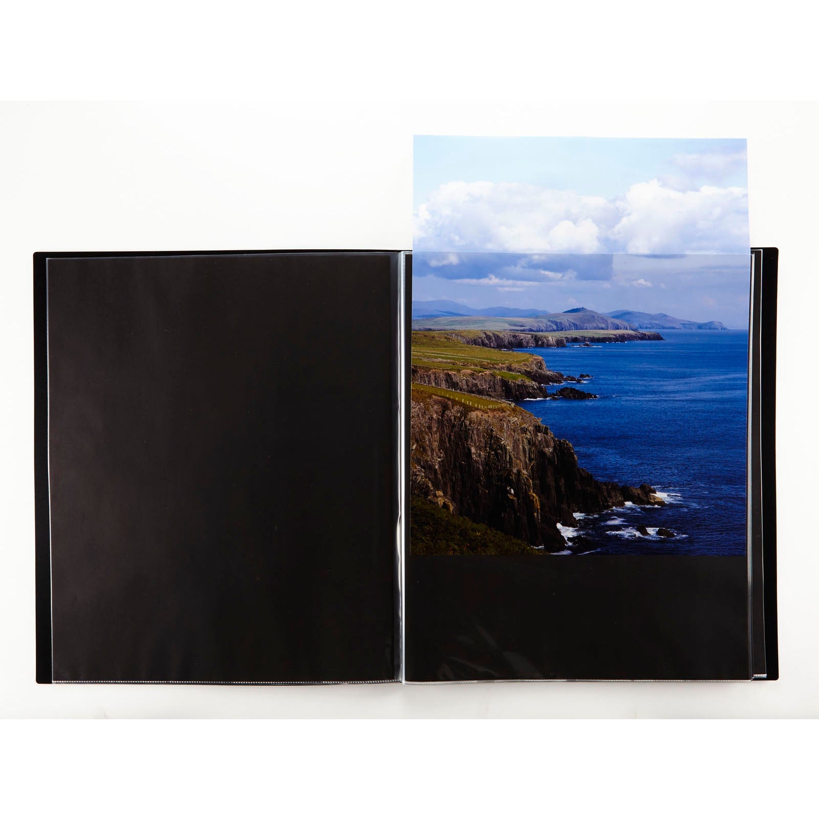 The Origianl Art ProFolio
