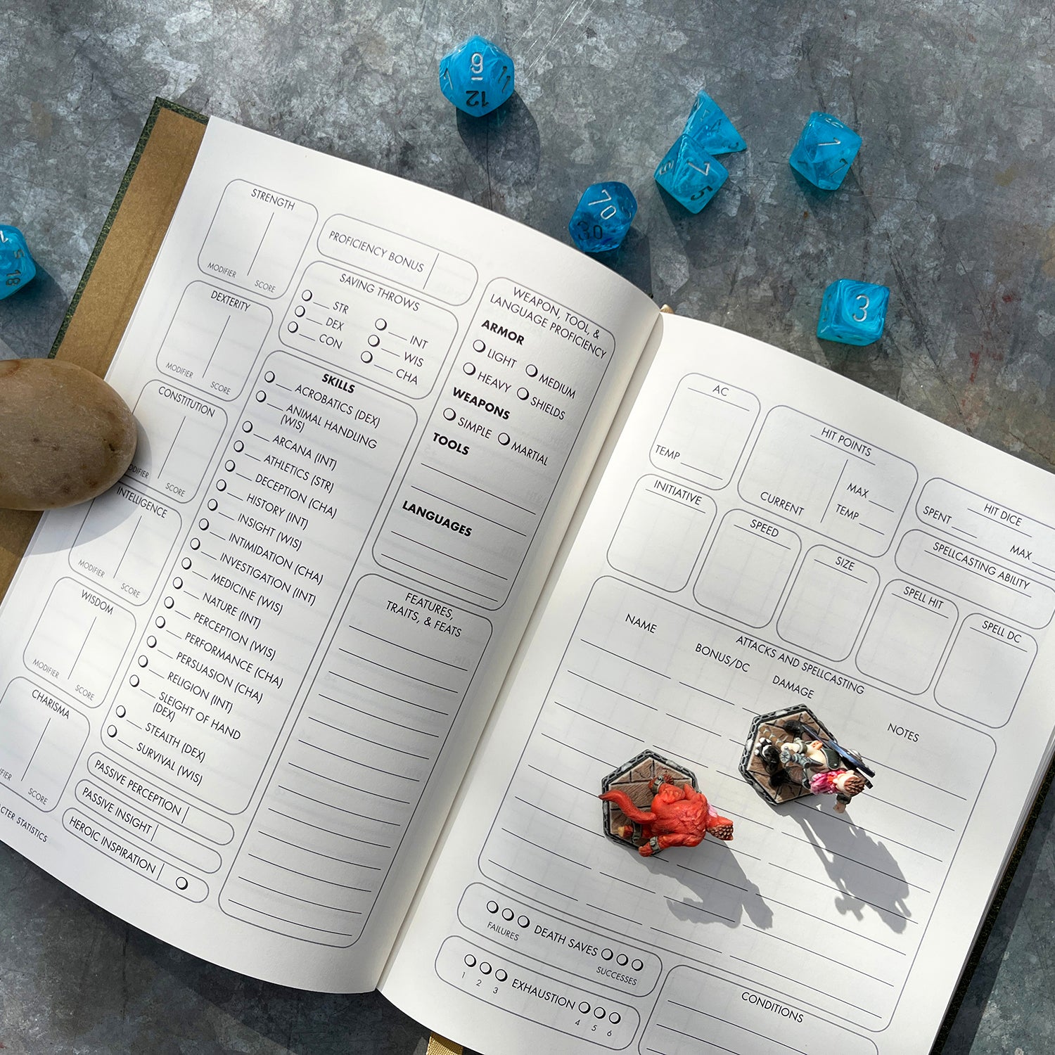 Campaign Journal