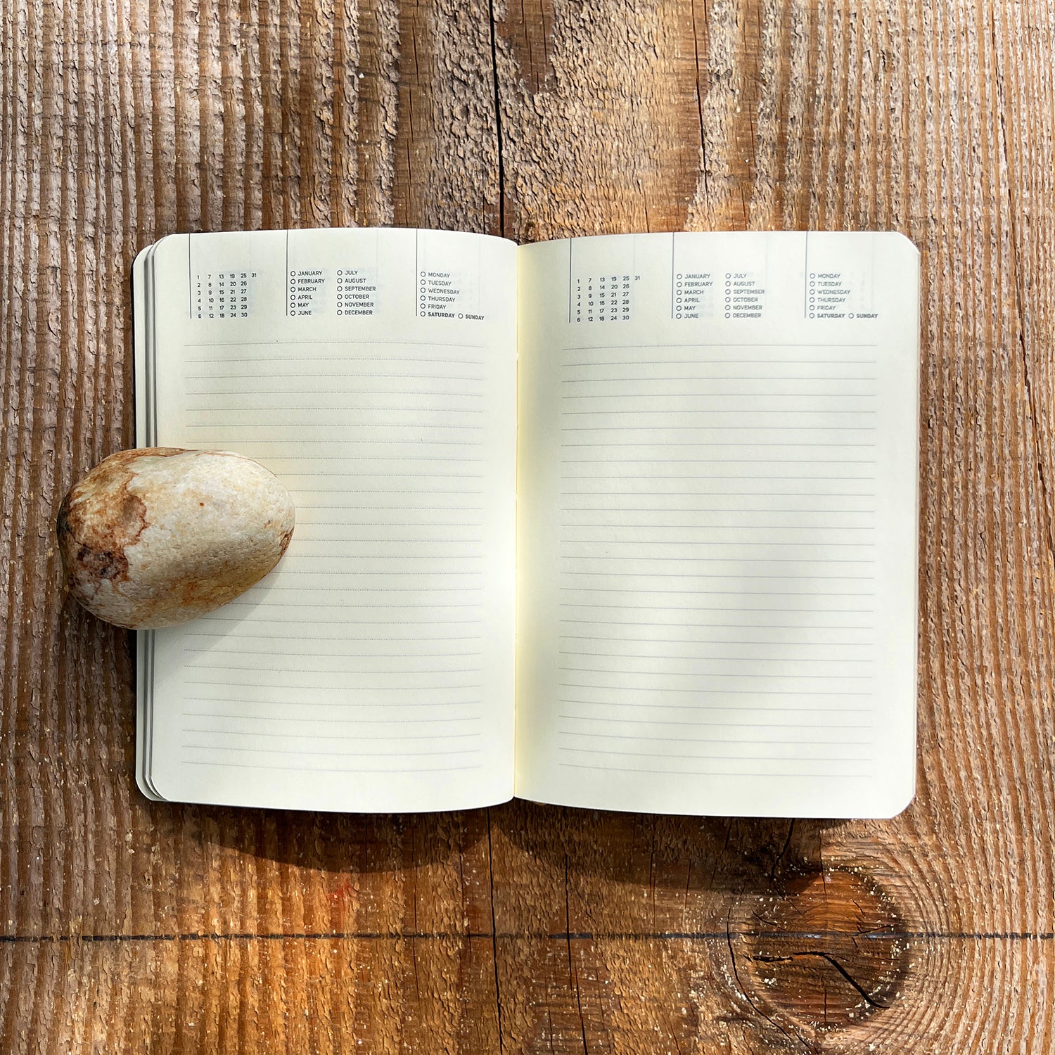 Daily Undated Planner / Irises