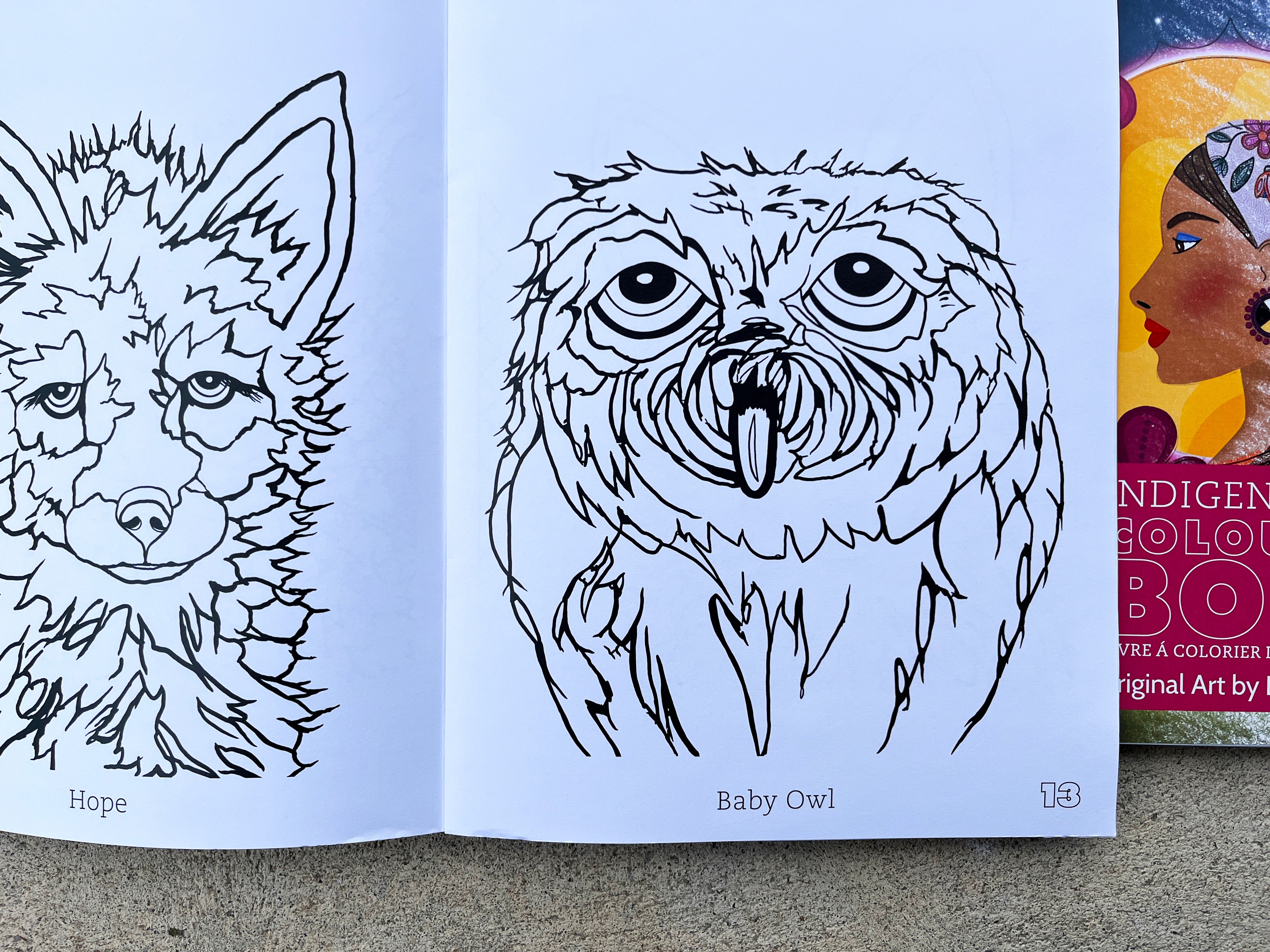 Indigenous Collection Colouring Books