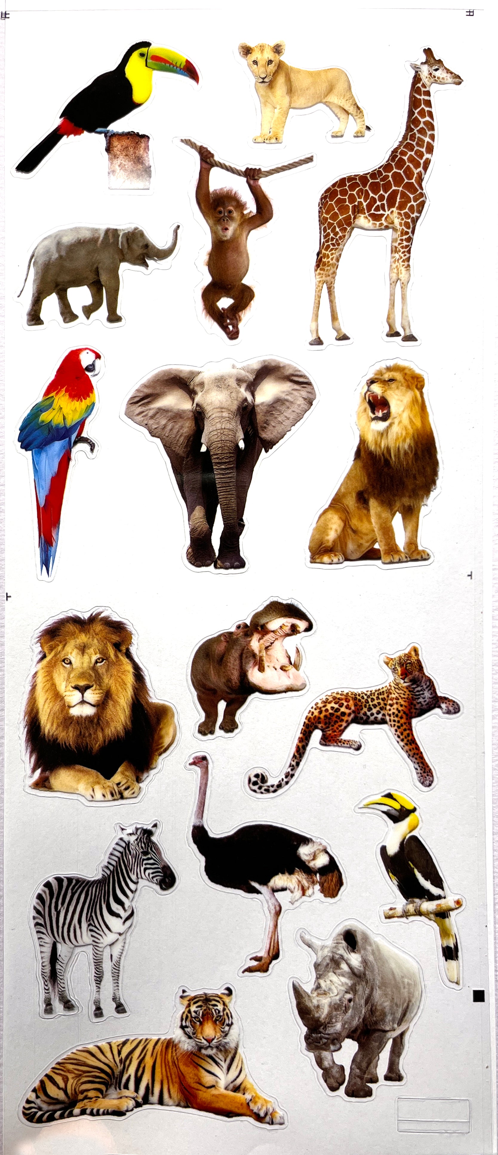 Clear Stickers / Safari Animals