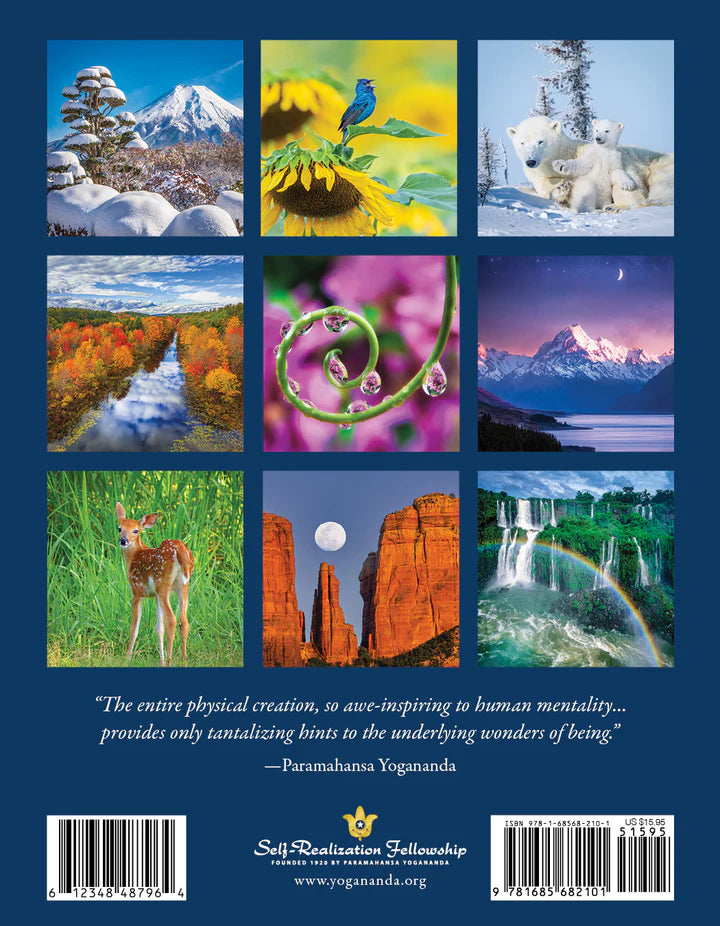 Planner Inner Reflections Enagement Calendar 7 X 9 2026