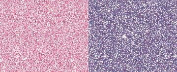 Pearl Ex Pigments