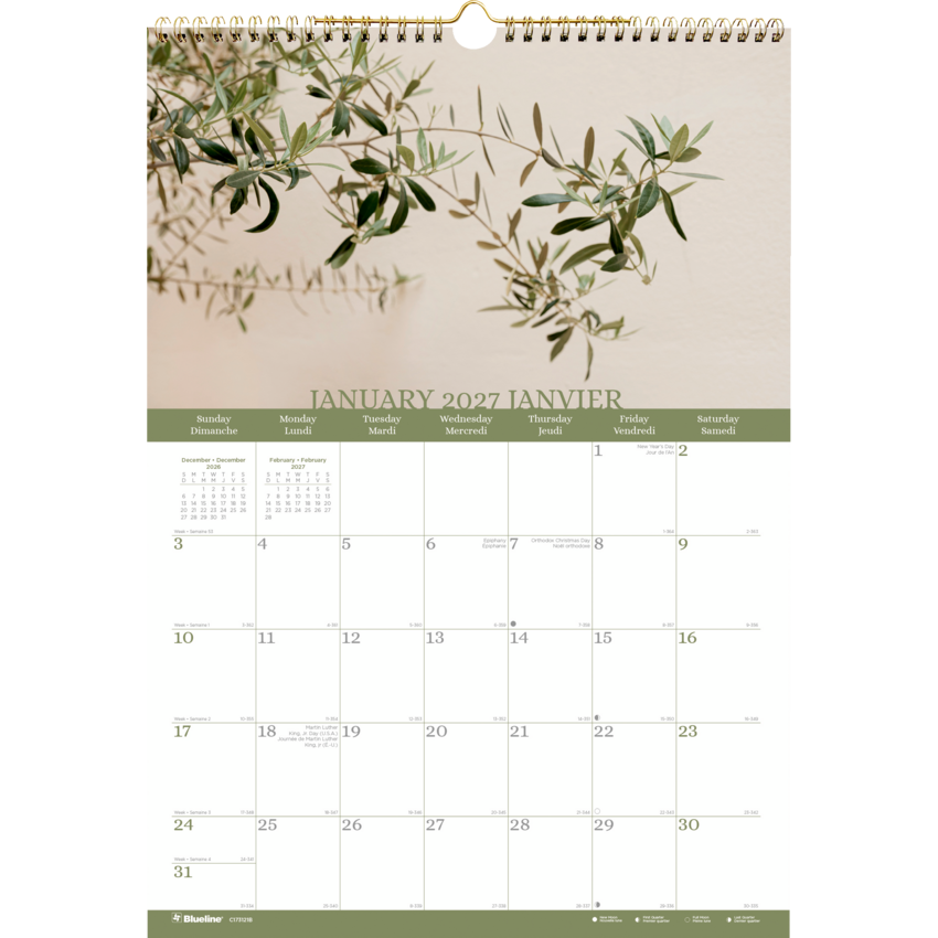 Blueline Succulents Wall Calendar — 12 x 17, Bilingual