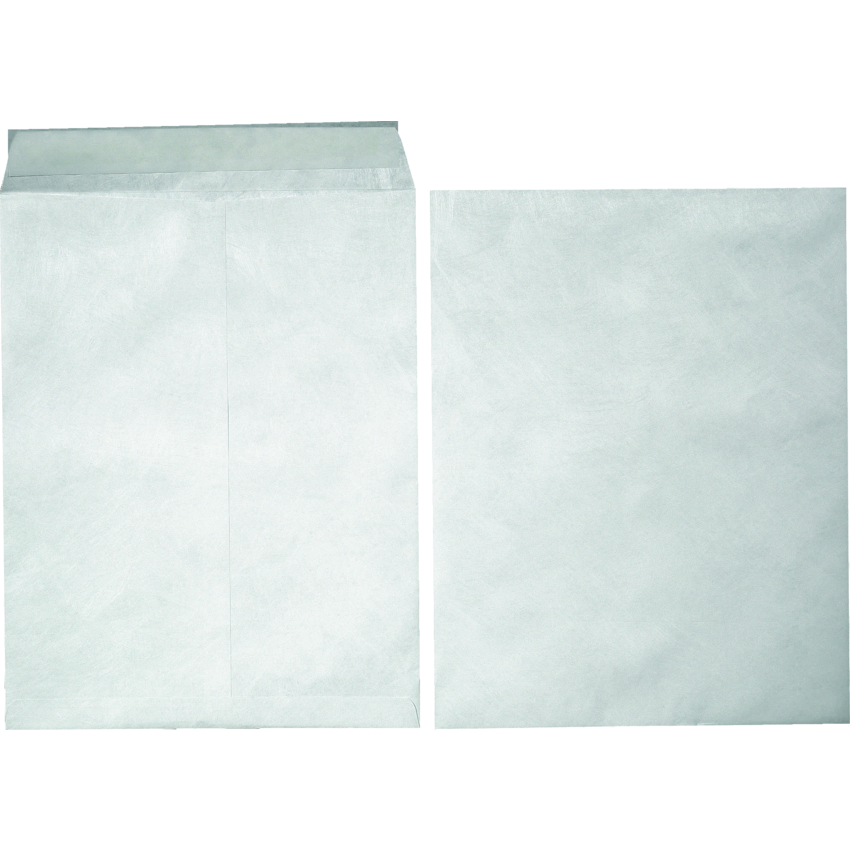 Envelope Flap-Stik  12x15.5 100/pk