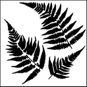 Crafter's Workshop 12"  Stencils