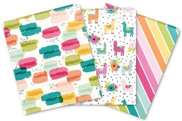 Pukka Pads Letter Portfolio Carpe Diam Asstd