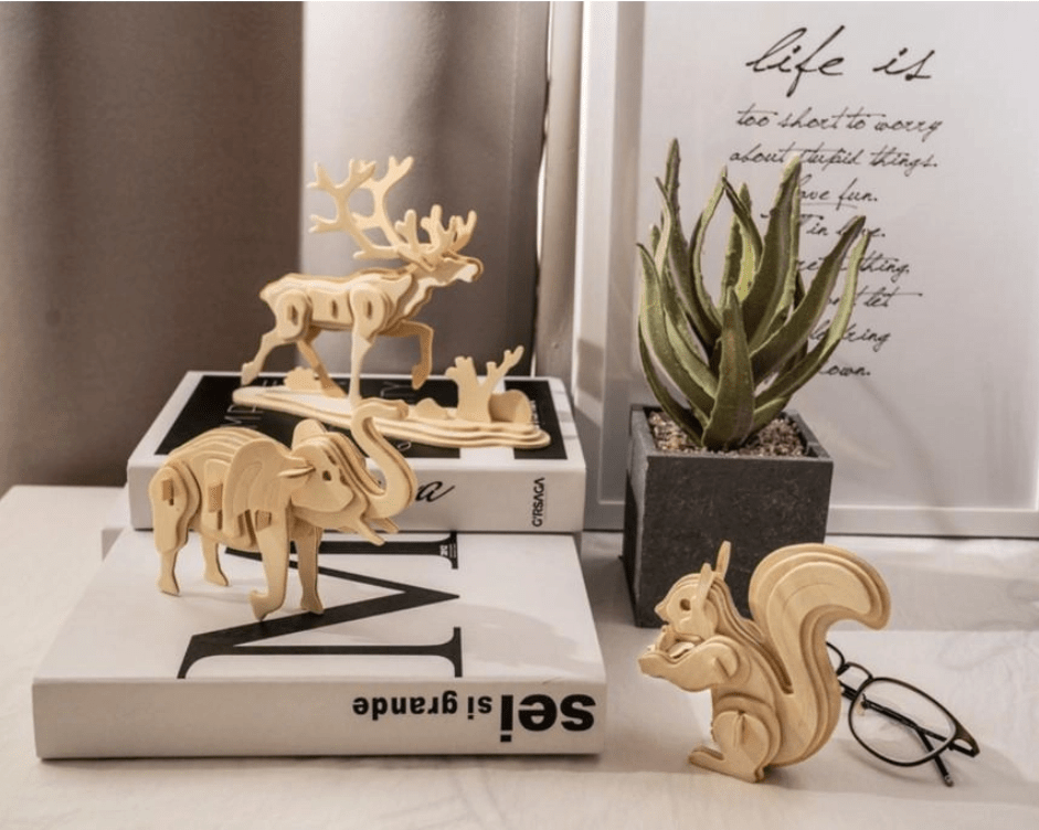 3D Wood Puzzle Kits