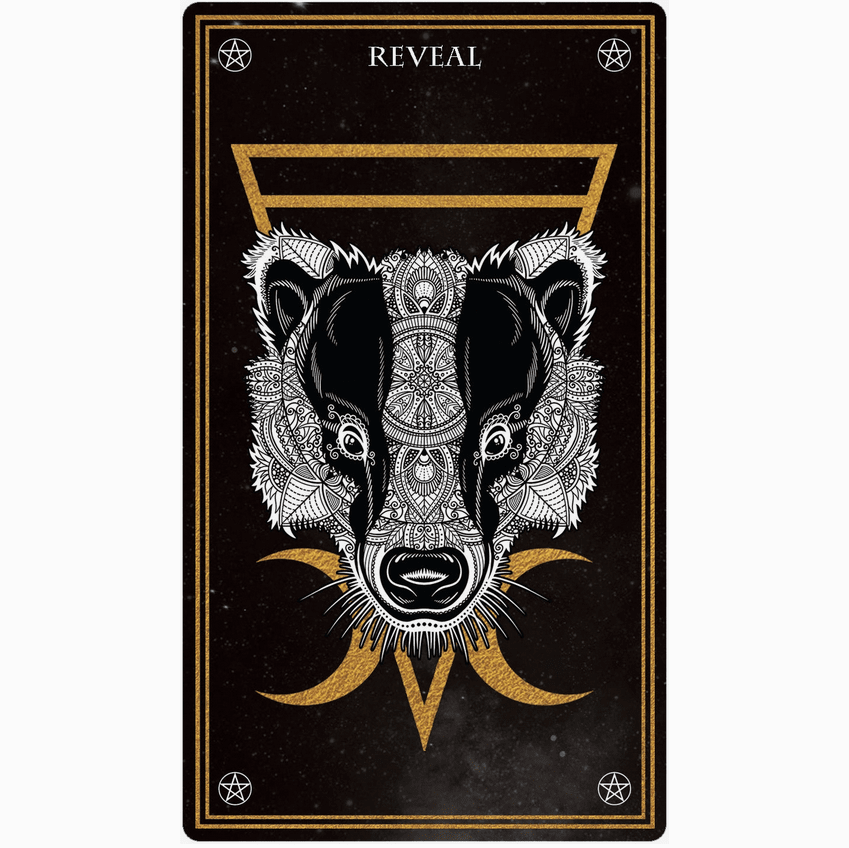 Wild Mystic Oracle Card Deck