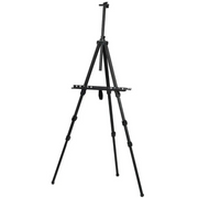 Metal Field Easel