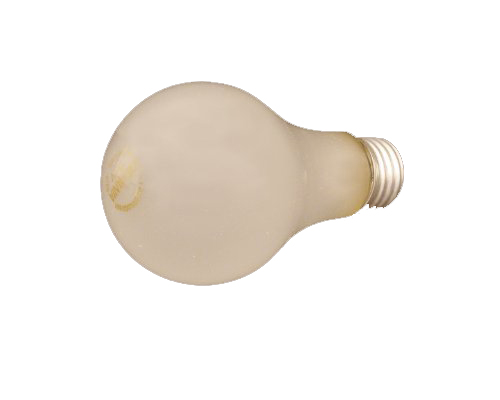 Photo Flood Bulb for Emulsion