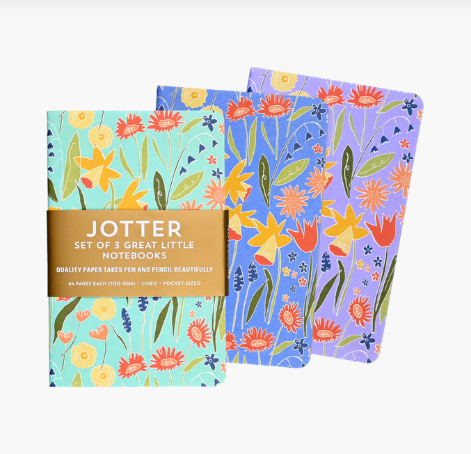 Jotter mini notebooks 3pk