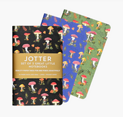 Jotter mini notebooks 3pk