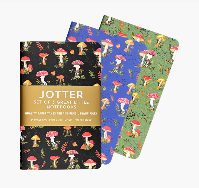 Jotter mini notebooks 3pk