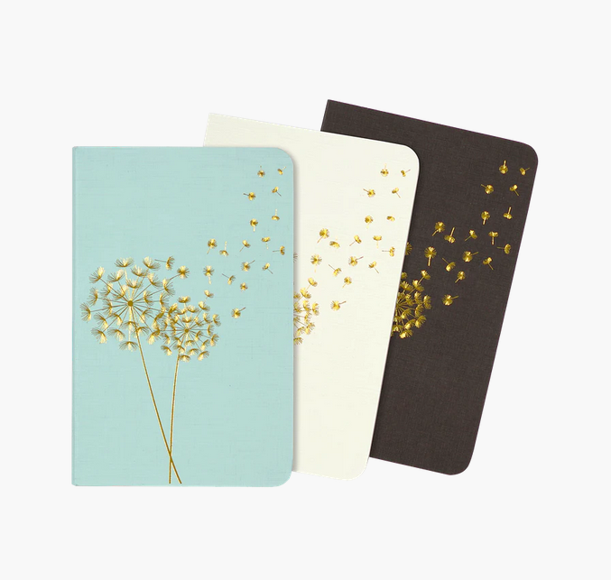 Jotter mini notebooks dot-grid 3pk