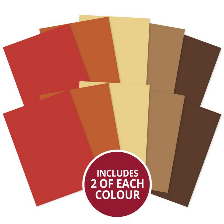 A4 Cardstock 10pks