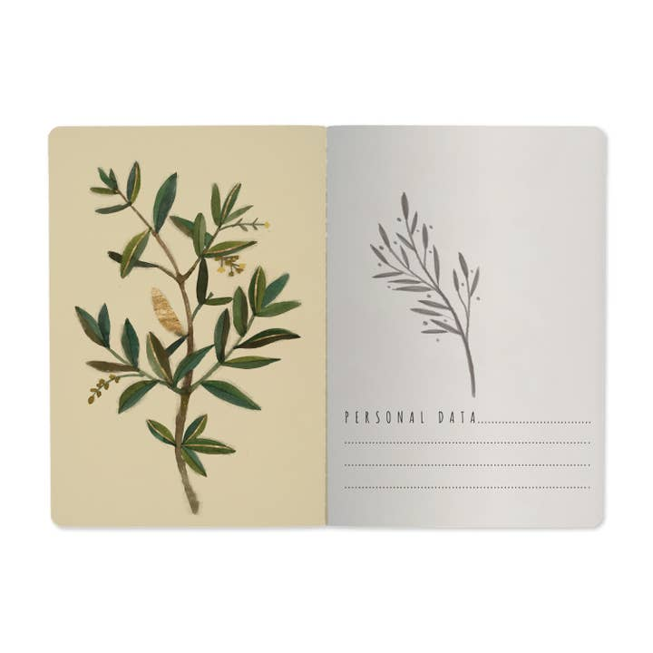 Notebook - Olive