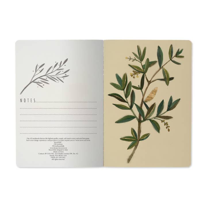 Notebook - Olive