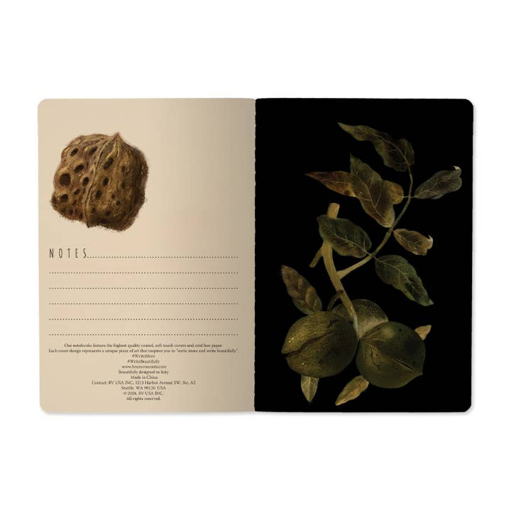 Bruno Visconti Forest Flora lined notebook, image 3