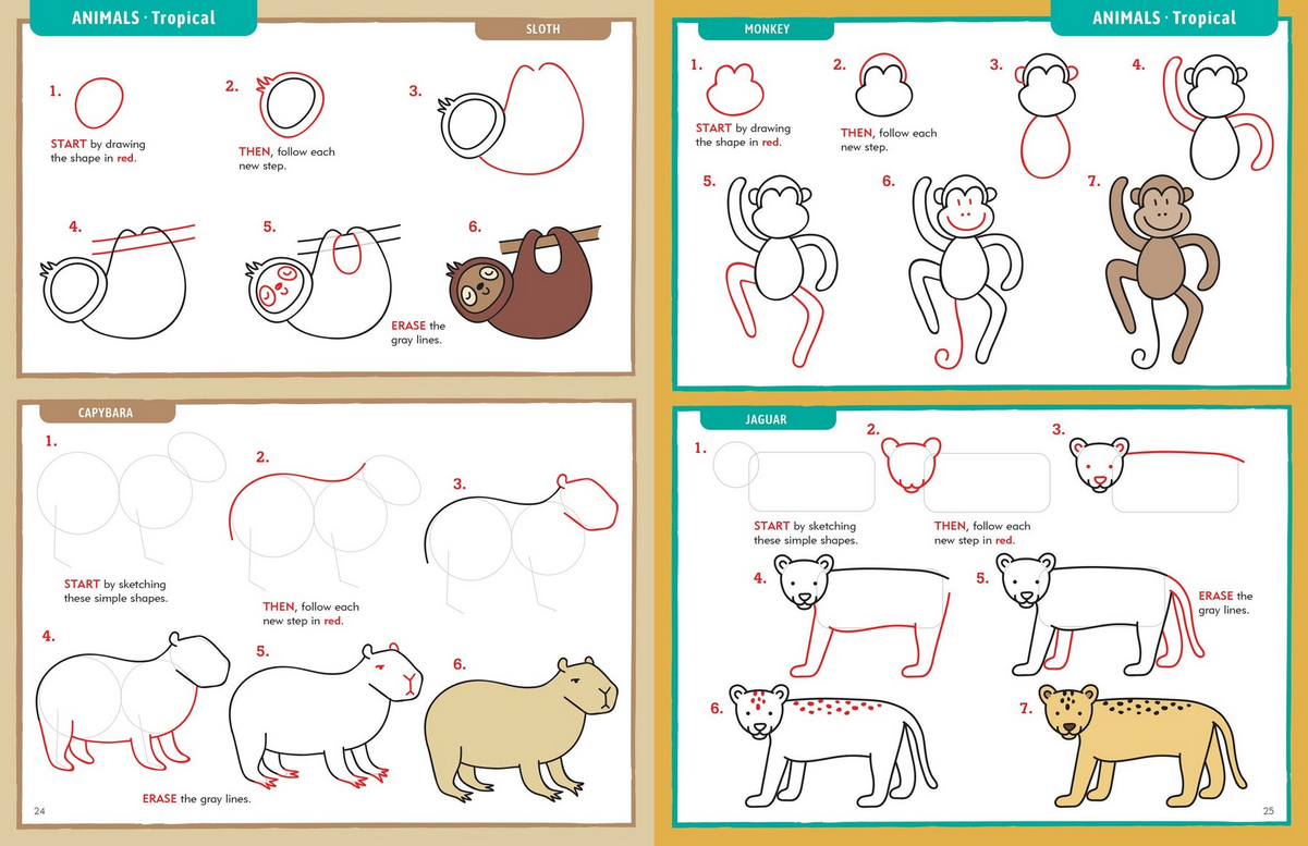 Apprendre à tout dessiner