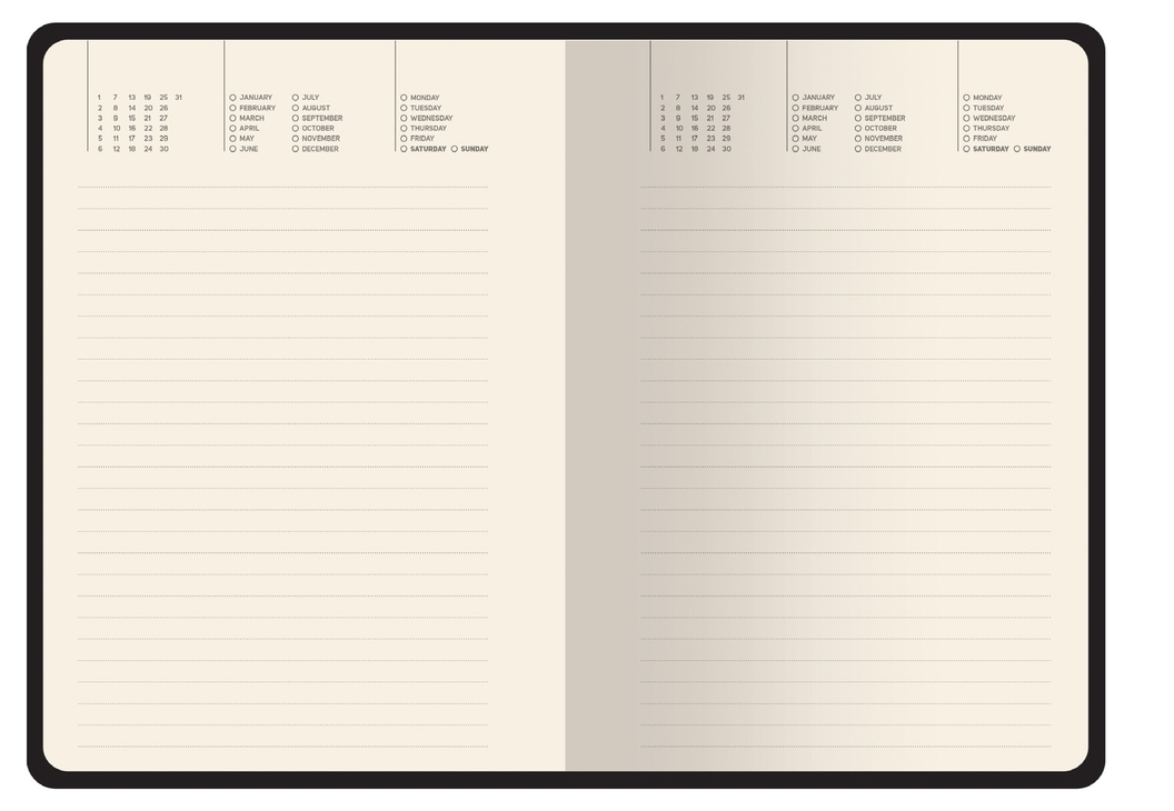 Daily Undated Planner / Irises