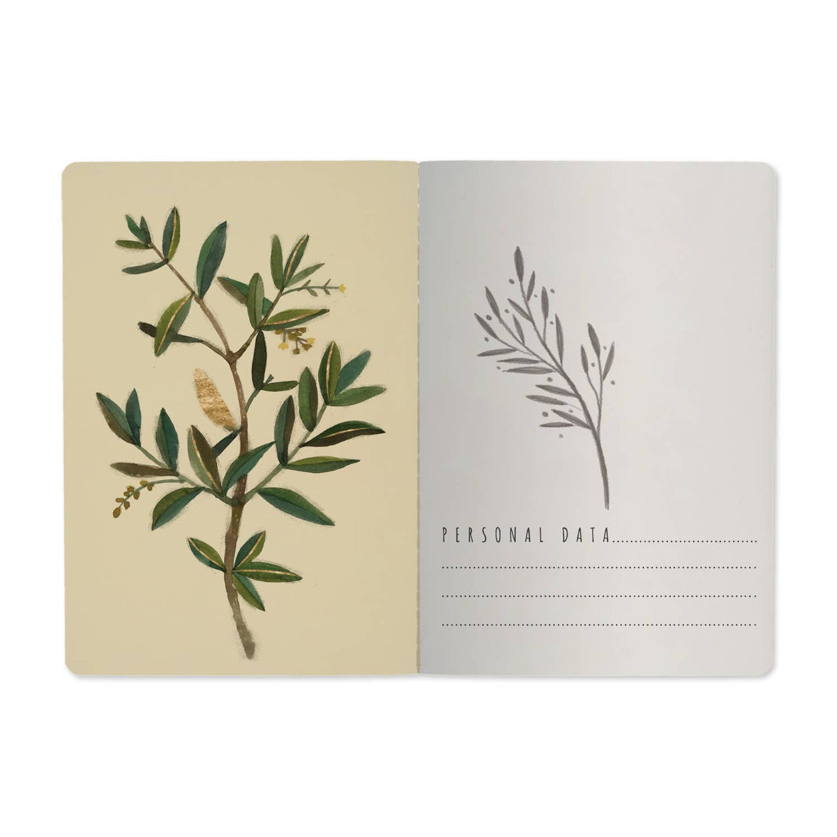 Bruno Visconti Olive lined notebook, view 2