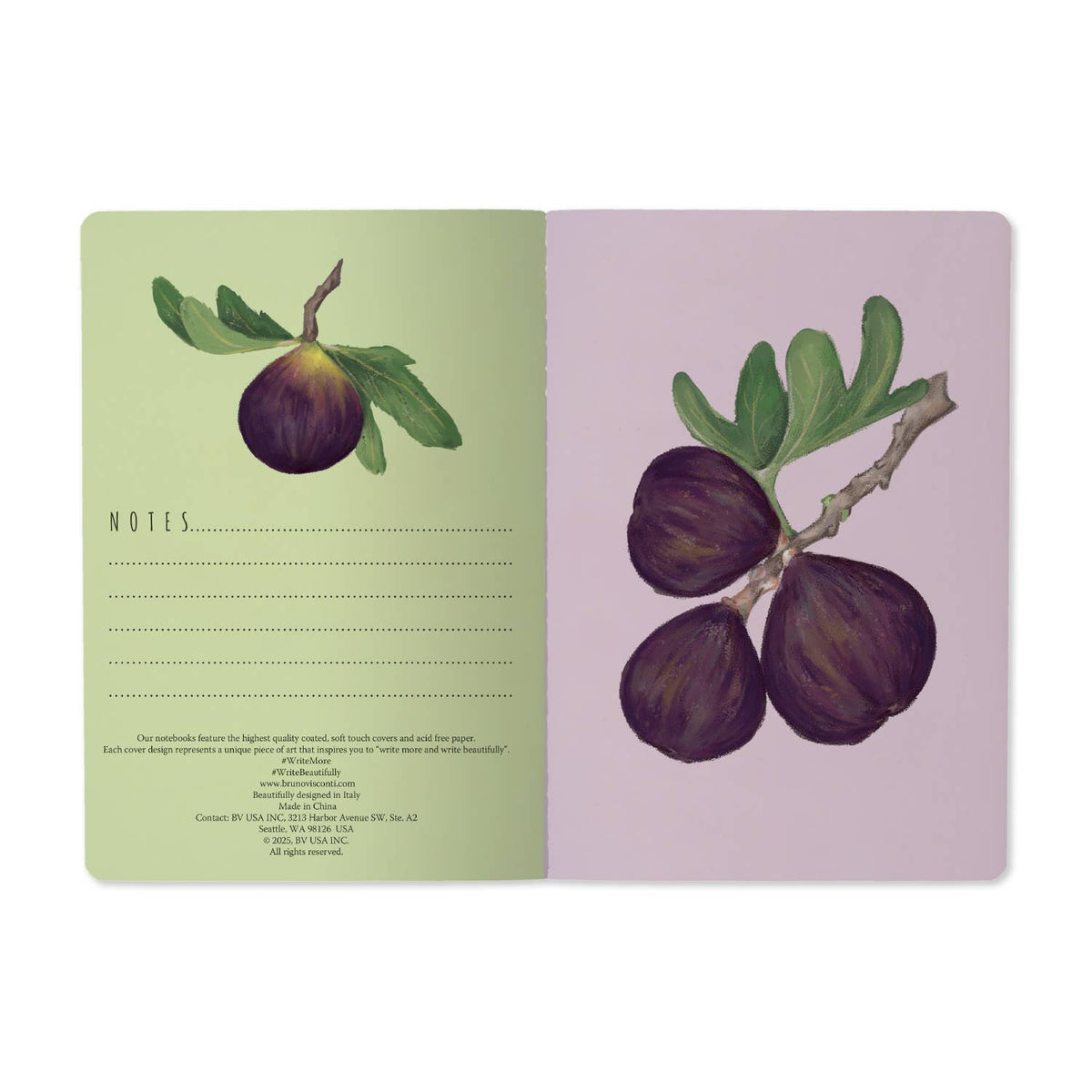 Bruno Visconti Figs on White lined notebook, view 3