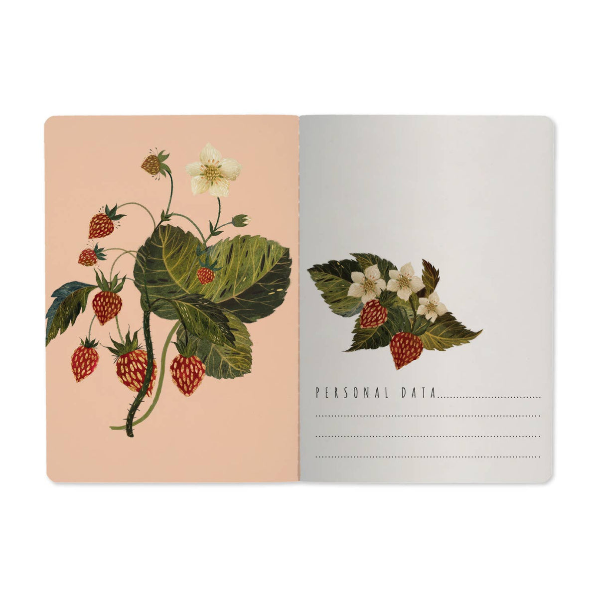 Bruno Visconti Wild Strawberry lined notebook, view 2