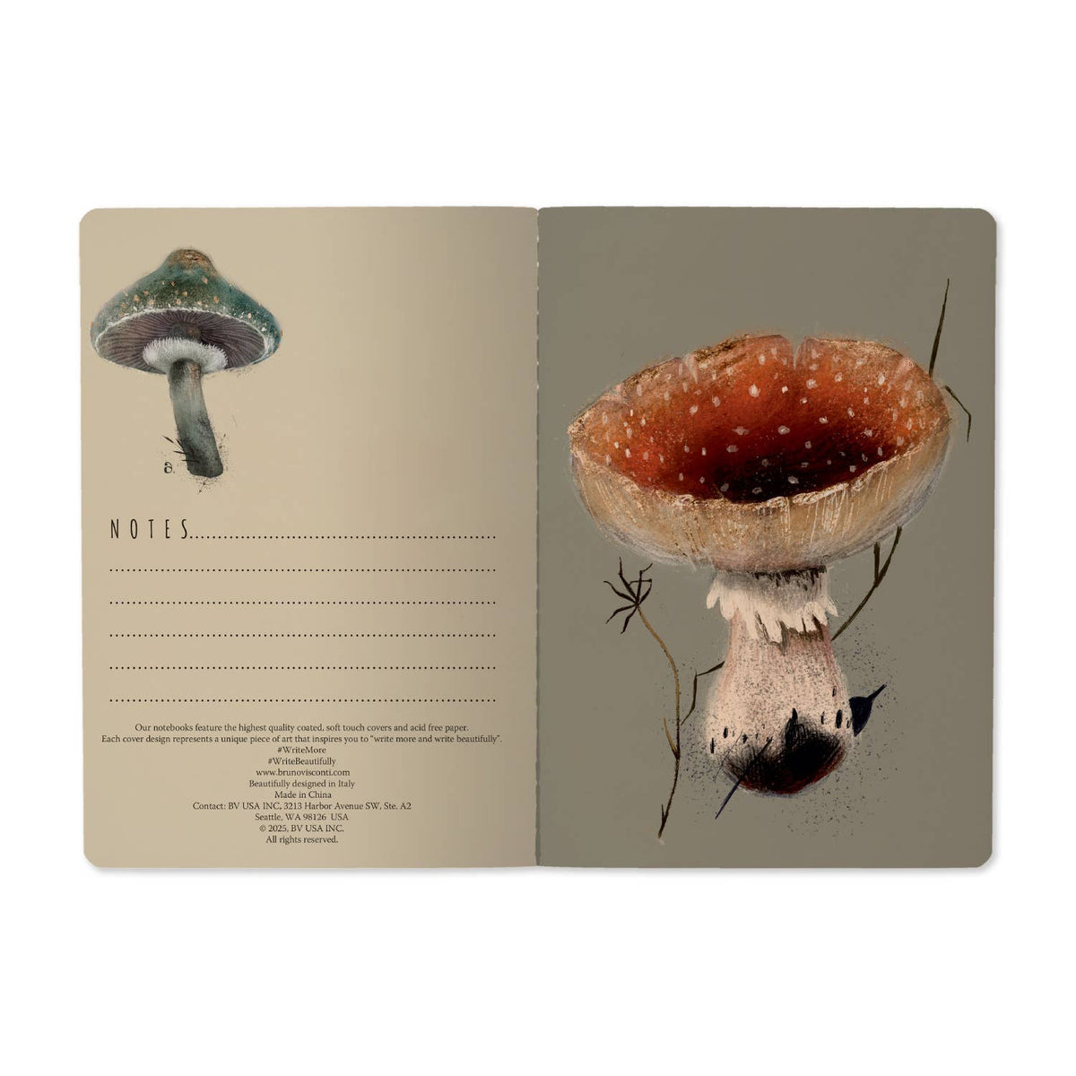 Bruno Visconti Gourmet Mushrooms lined notebook, view 3