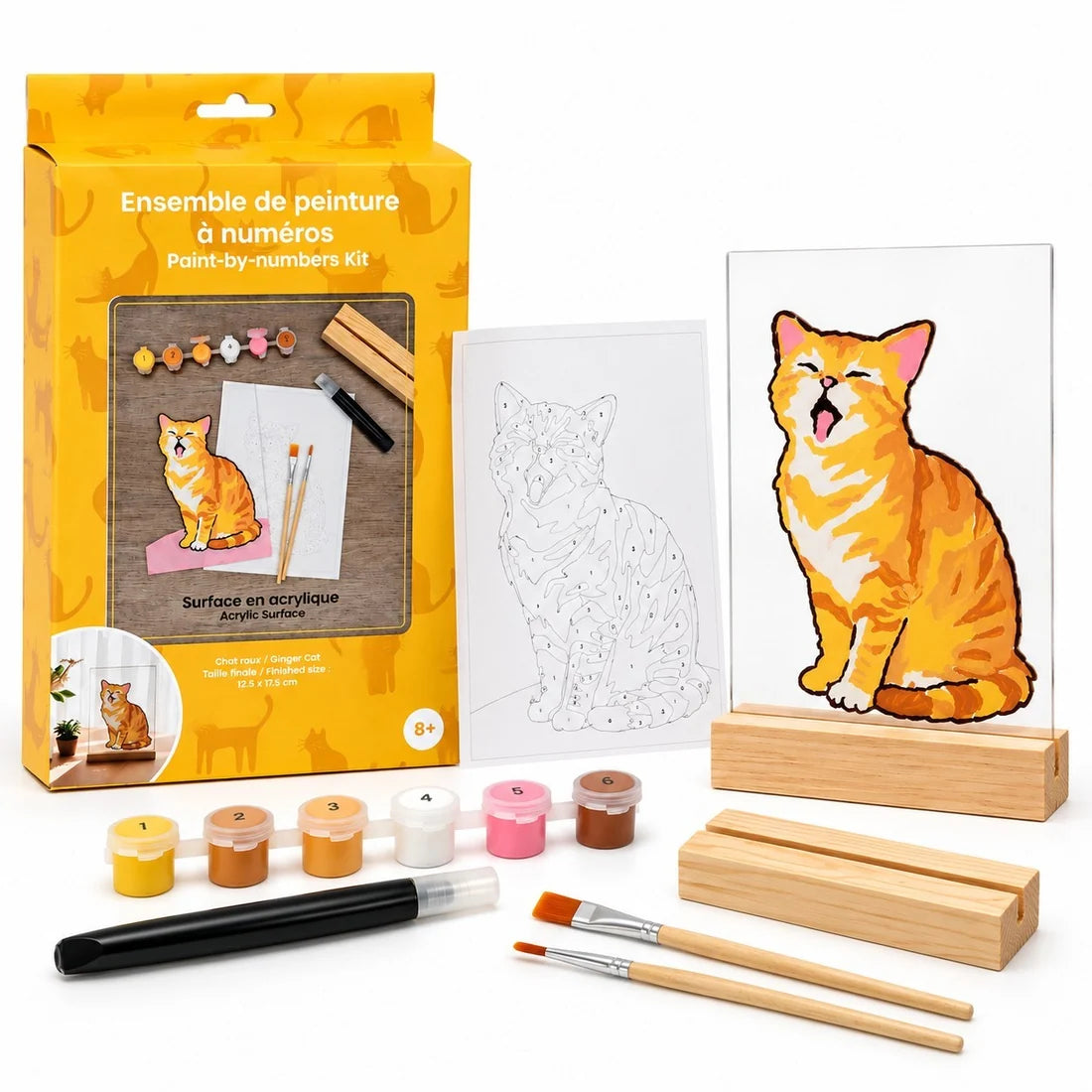 Paint-by-Numbers Kit on Acrylic