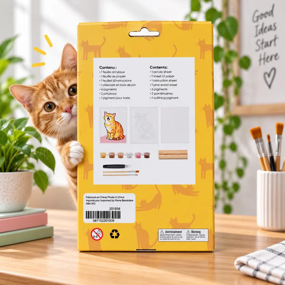 Paint-by-Numbers Kit on Acrylic