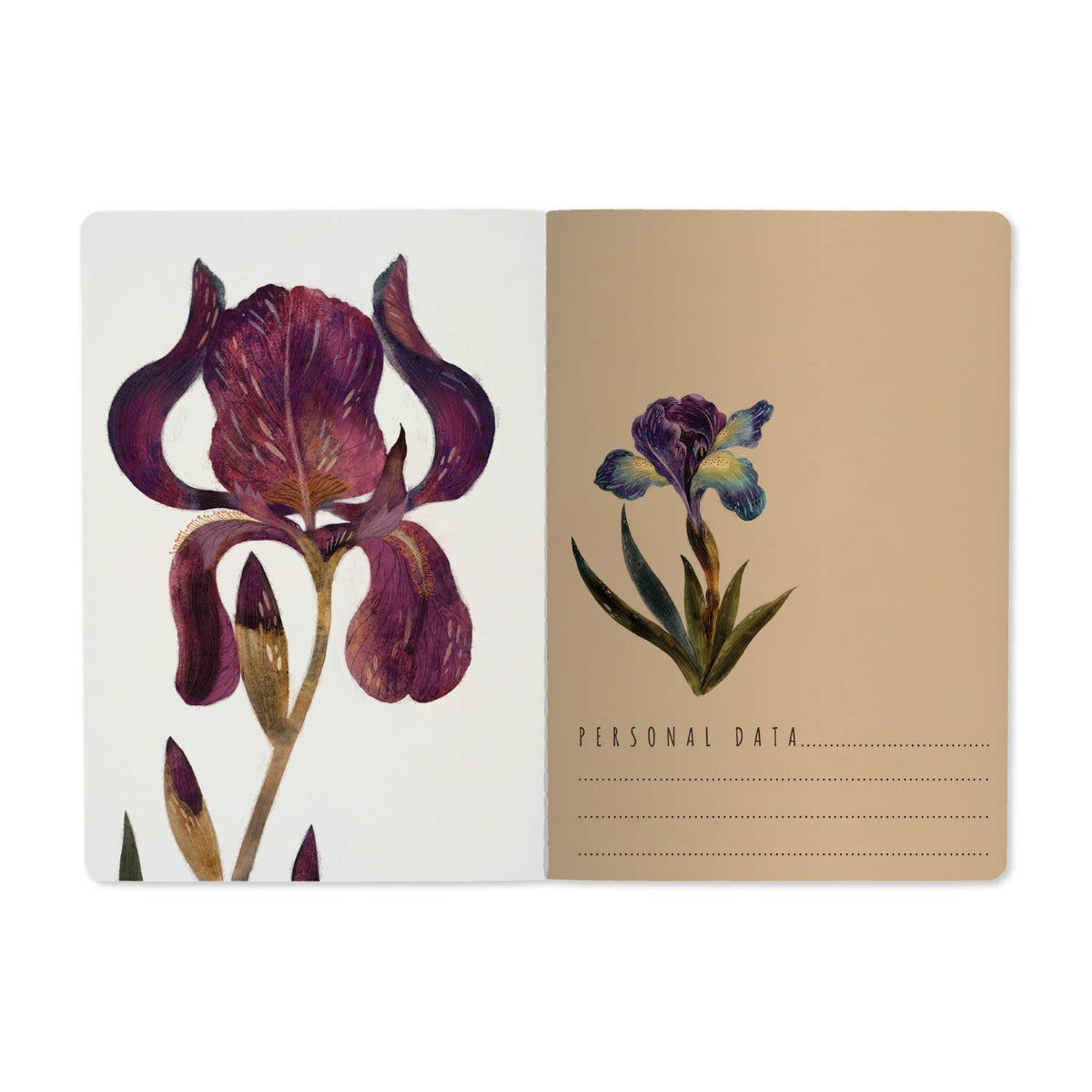 Bruno Visconti Irises lined notebook, view 2