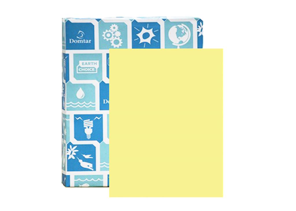 Papier fort EarthChoice Couleurs Vellum Bristol - Gris