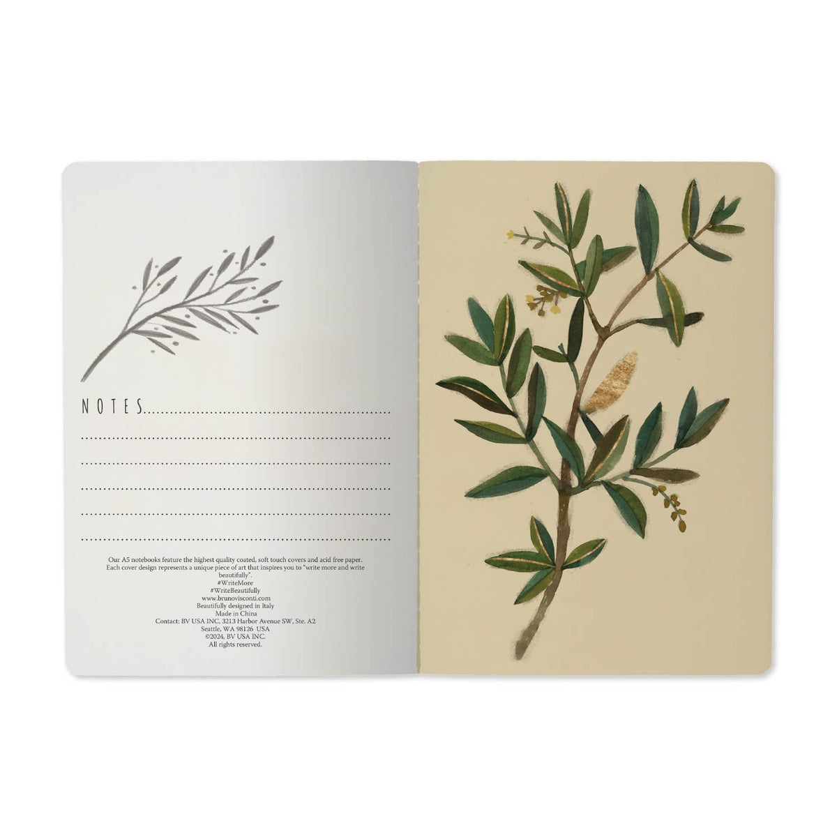Bruno Visconti Olive lined notebook, view 3