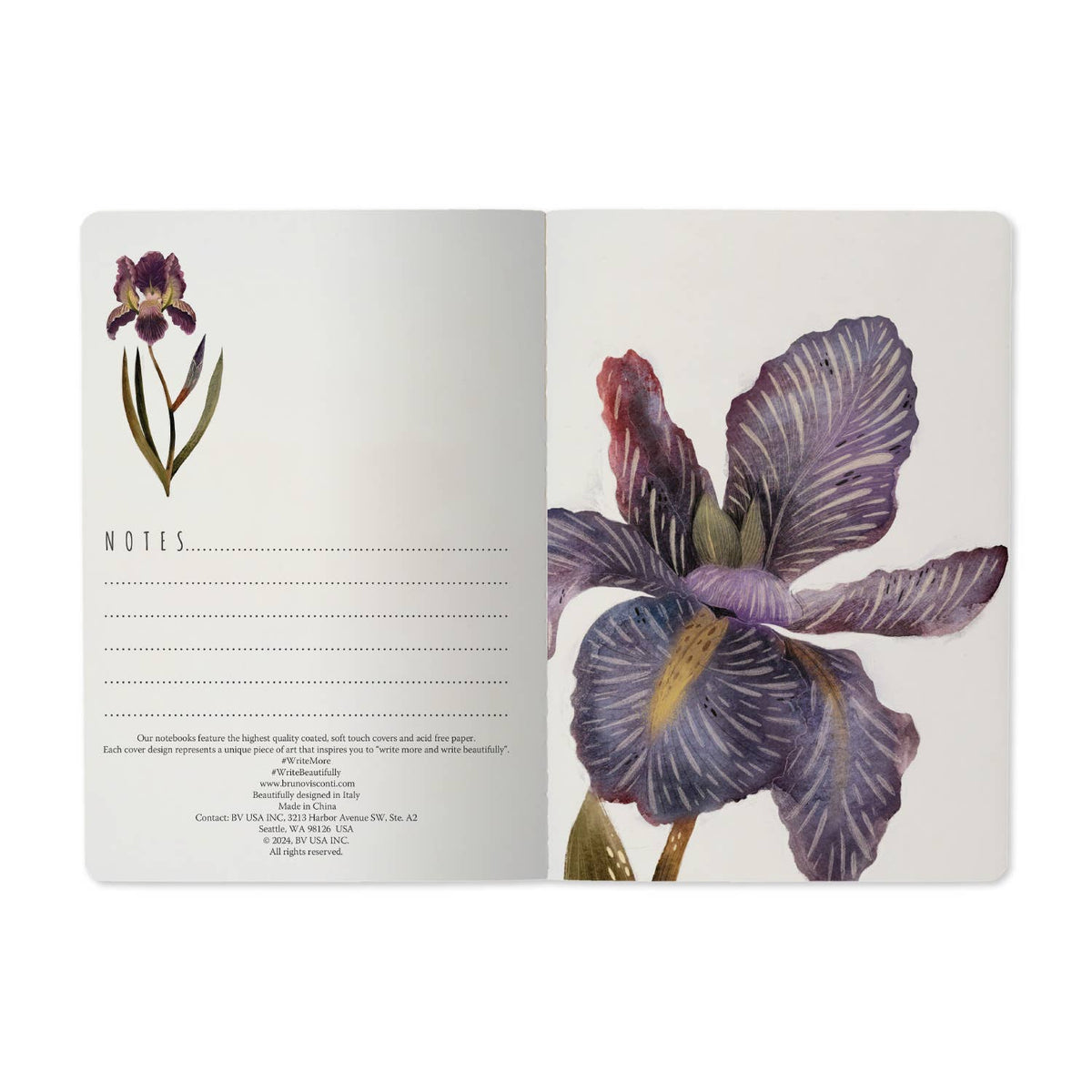 Bruno Visconti Irises lined notebook, view 3