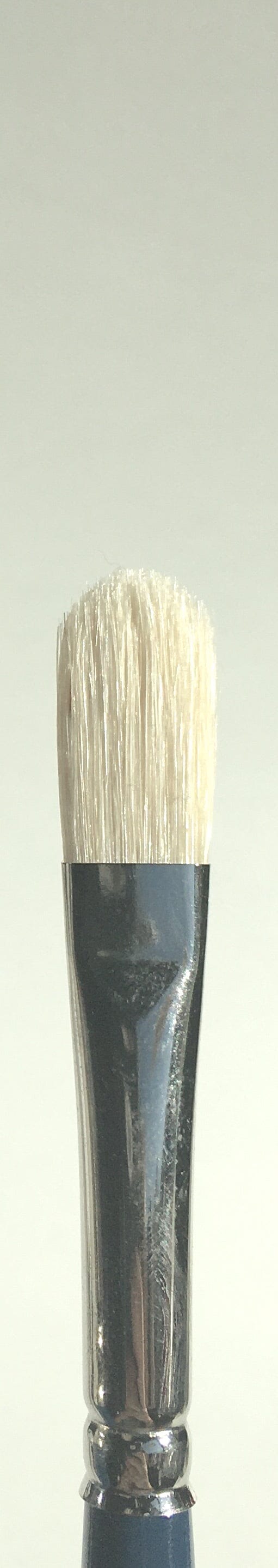 Fine Hog Bristle Brushes
