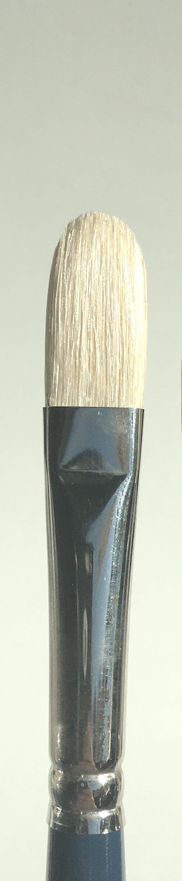 Fine Hog Bristle Brushes