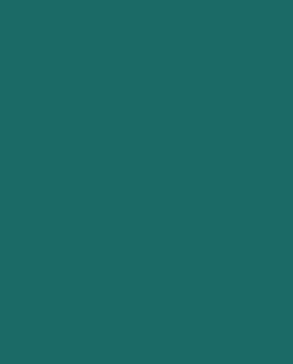 Peinture aérosol mate basse pression DANG