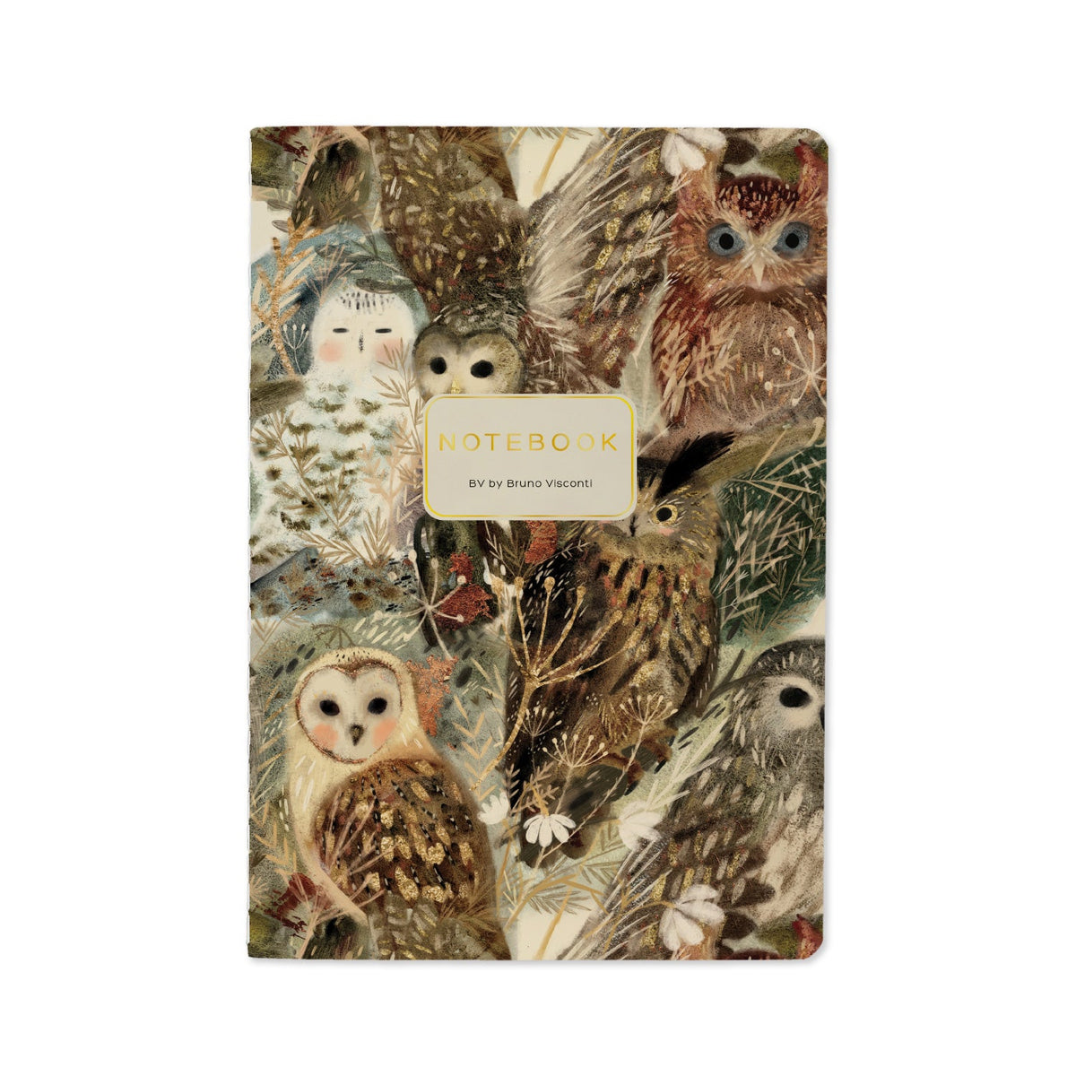 Bruno Visconti Owls lined notebook, cover