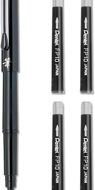 BROSSE DE POCHE NOIRE AVEC 4 RECHARGES