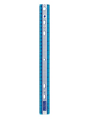 Staedtler Plastic Ruler 12"/300mm Binder Ring