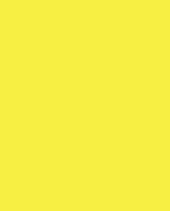 Peinture aérosol mate basse pression DANG